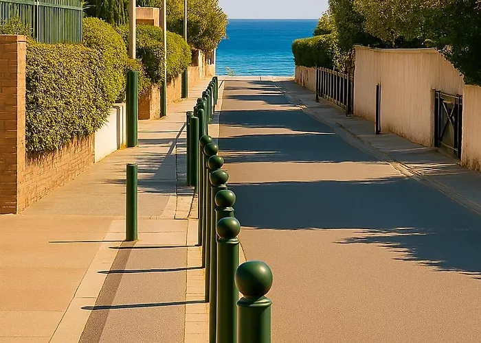 Reve D'azur De La Nartelle * Sainte-Maxime