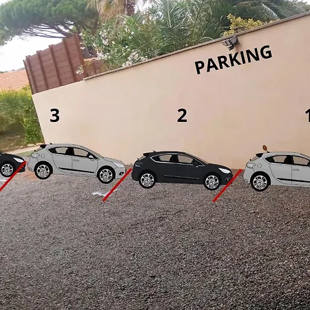 Reve D'azur De La Nartelle * 圣马克西姆