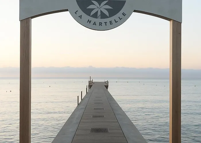 Reve D'azur De La Nartelle * 圣马克西姆